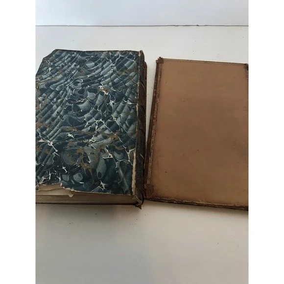 The Life Of Jeanne D’Albret, Queen Of Navarre, First Edition, By Martha Freer V2 - Picture 5 of 6